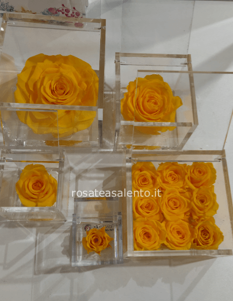 flowercube festa della donna